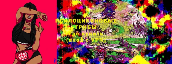 PSILOCYBIN Алексин