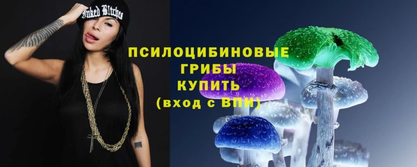 сатива Алзамай