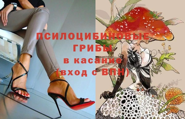сатива Алзамай