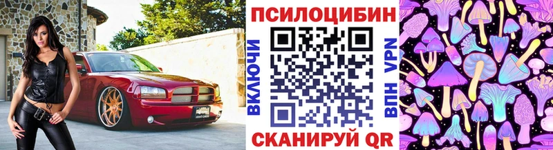 Галлюциногенные грибы Psilocybine cubensis  гидра маркетплейс  Ветлуга  купить  